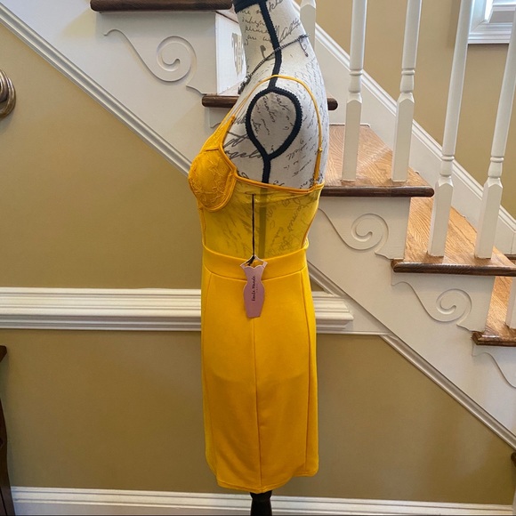 New!!! Haute Monde lace & mesh bustier dress - Picture 5 of 7